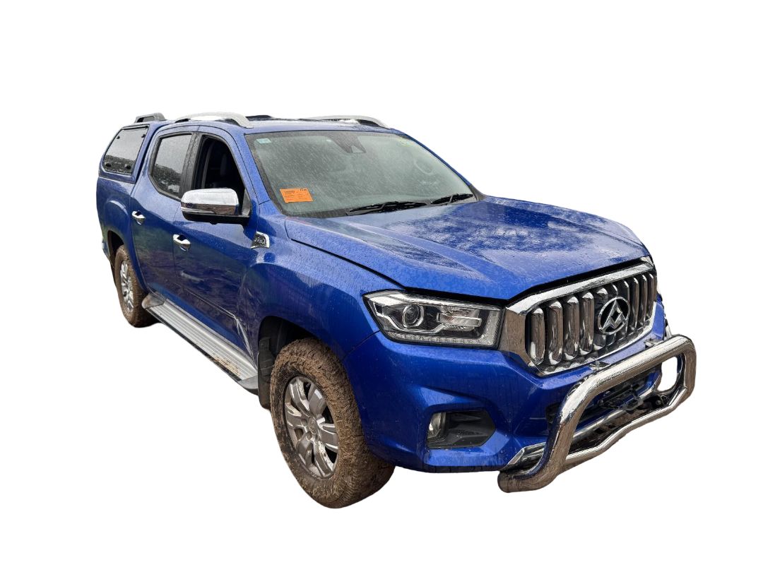 LDV T60