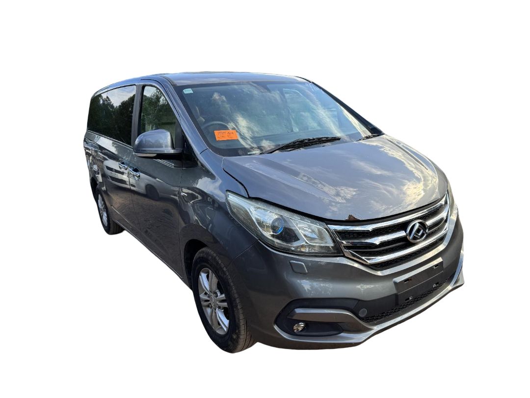 LDV G10 