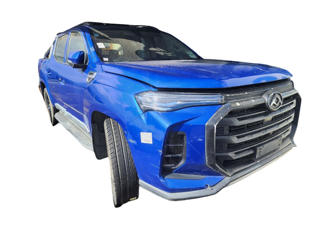 LDV T60